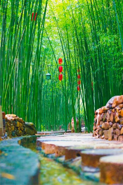 央视《对话》来临沂了，原来你是这样的一座城(图14)