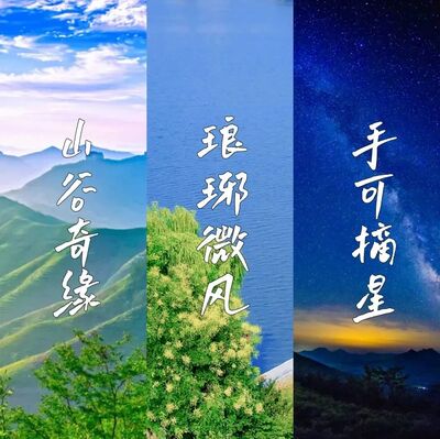 央视《对话》来临沂了，原来你是这样的一座城(图1)